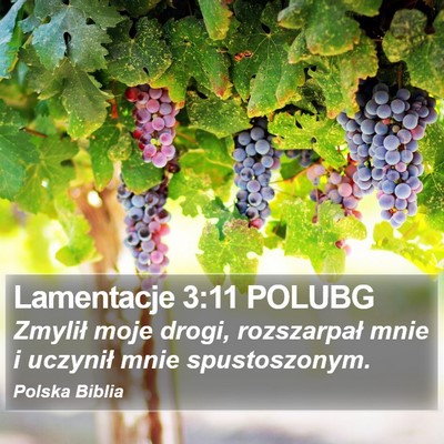 Lamentacje 3:11 POLUBG Bible Verse Image