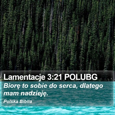 Lamentacje 3:21 POLUBG Bible Verse Image