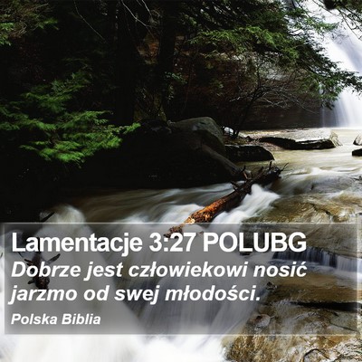 Lamentacje 3:27 POLUBG Bible Verse Image