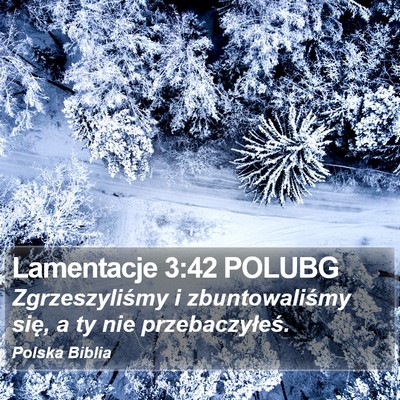 Lamentacje 3:42 POLUBG Bible Verse Image