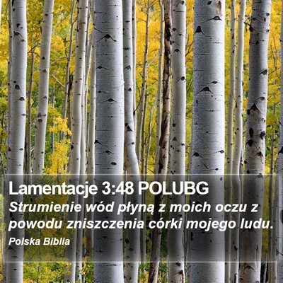 Lamentacje 3:48 POLUBG Bible Verse Image
