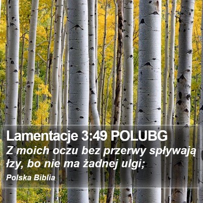 Lamentacje 3:49 POLUBG Bible Verse Image