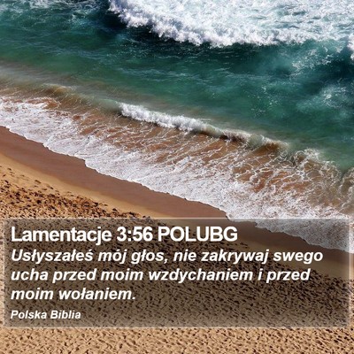 Lamentacje 3:56 POLUBG Bible Verse Image