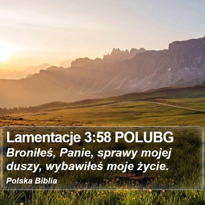 Lamentacje 3:58 POLUBG Bible Verse Image