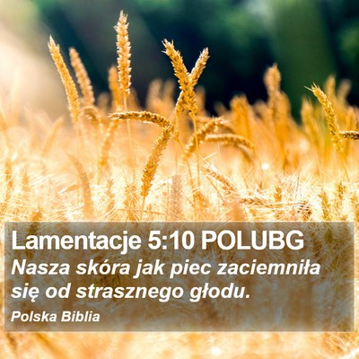 Lamentacje 5:10 POLUBG Bible Verse Image