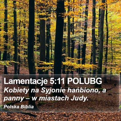 Lamentacje 5:11 POLUBG Bible Verse Image