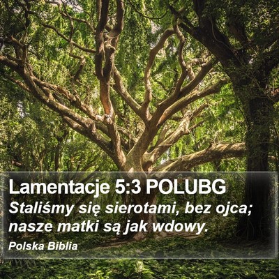 Lamentacje 5:3 POLUBG Bible Verse Image