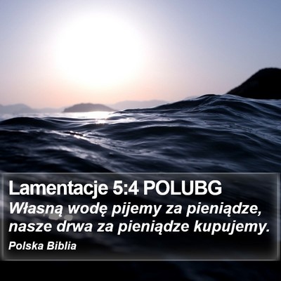 Lamentacje 5:4 POLUBG Bible Verse Image