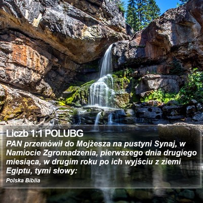 Liczb 1:1 POLUBG Bible Verse Image