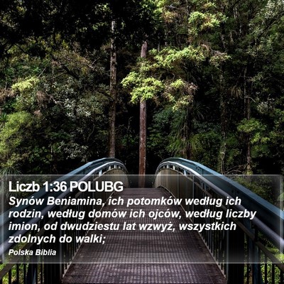 Liczb 1:36 POLUBG Bible Verse Image