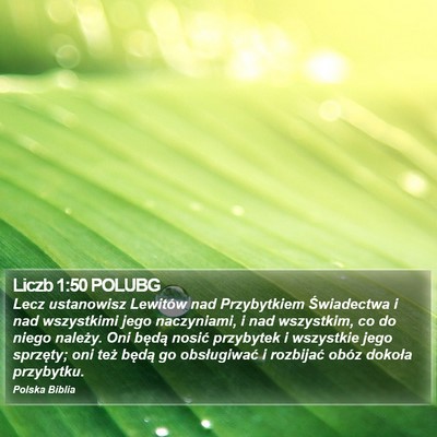 Liczb 1:50 POLUBG Bible Verse Image
