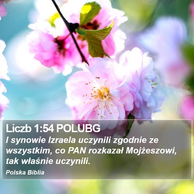 Liczb 1:54 POLUBG Bible Verse Image
