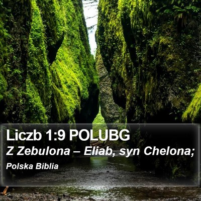 Liczb 1:9 POLUBG Bible Verse Image