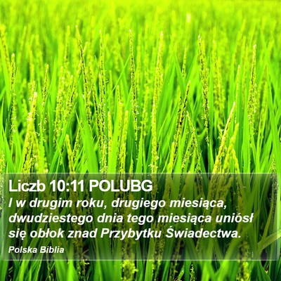 Liczb 10:11 POLUBG Bible Verse Image