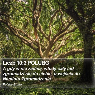 Liczb 10:3 POLUBG Bible Verse Image