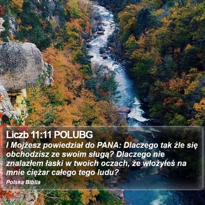 Liczb 11:11 POLUBG Bible Verse Image