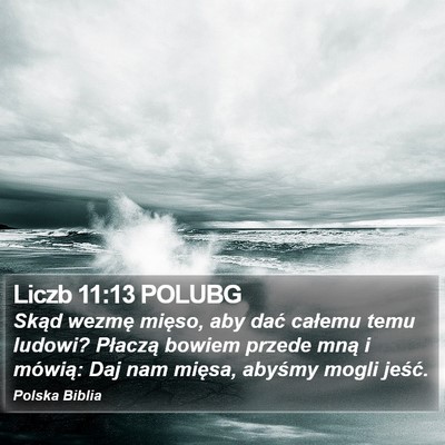 Liczb 11:13 POLUBG Bible Verse Image