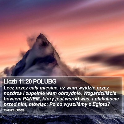 Liczb 11:20 POLUBG Bible Verse Image
