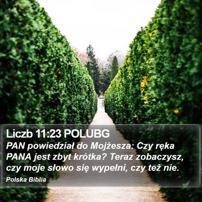 Liczb 11:23 POLUBG Bible Verse Image