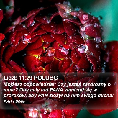 Liczb 11:29 POLUBG Bible Verse Image