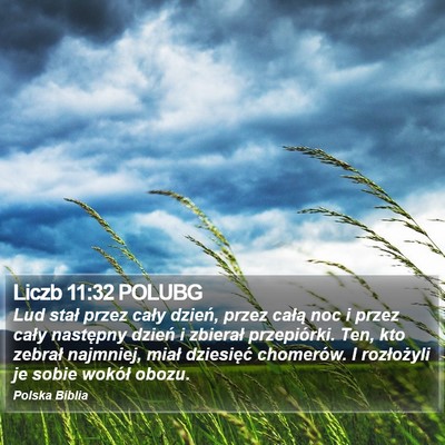 Liczb 11:32 POLUBG Bible Verse Image