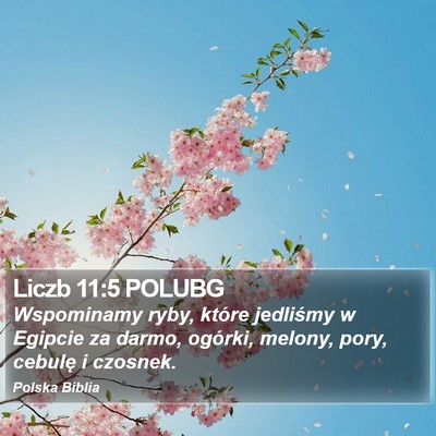 Liczb 11:5 POLUBG Bible Verse Image