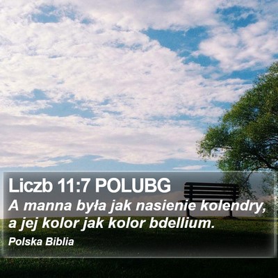Liczb 11:7 POLUBG Bible Verse Image