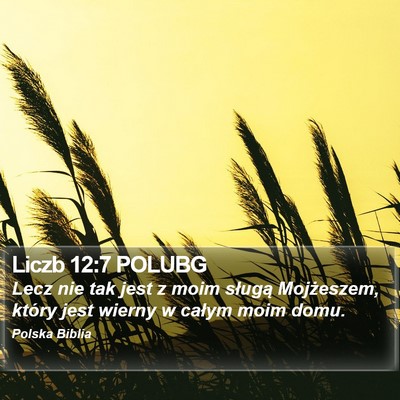 Liczb 12:7 POLUBG Bible Verse Image