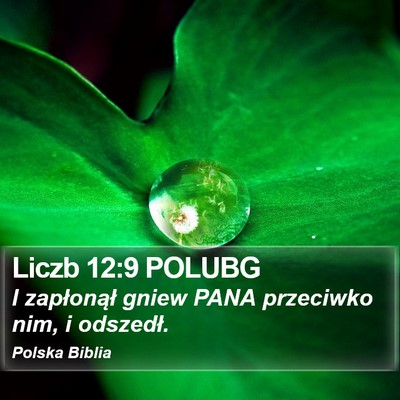 Liczb 12:9 POLUBG Bible Verse Image