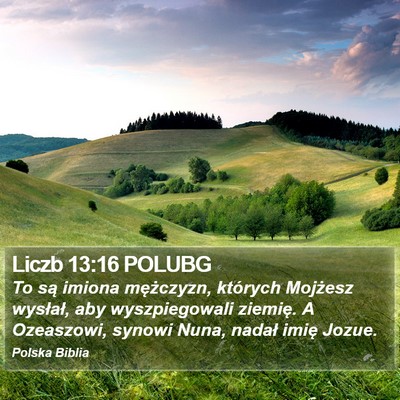 Liczb 13:16 POLUBG Bible Verse Image