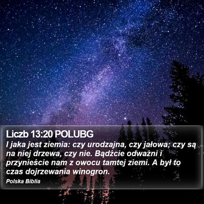 Liczb 13:20 POLUBG Bible Verse Image