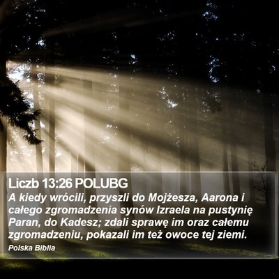 Liczb 13:26 POLUBG Bible Verse Image