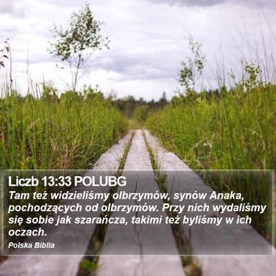 Liczb 13:33 POLUBG Bible Verse Image