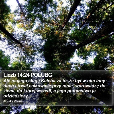 Liczb 14:24 POLUBG Bible Verse Image