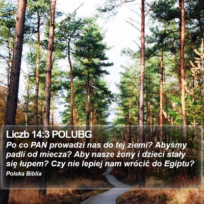 Liczb 14:3 POLUBG Bible Verse Image