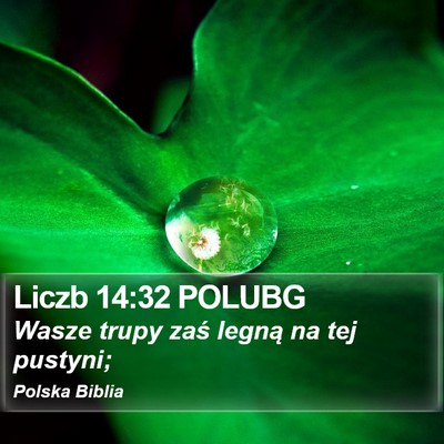 Liczb 14:32 POLUBG Bible Verse Image