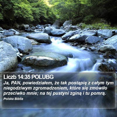 Liczb 14:35 POLUBG Bible Verse Image