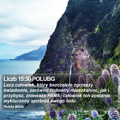 Liczb 15:30 POLUBG Bible Verse Image
