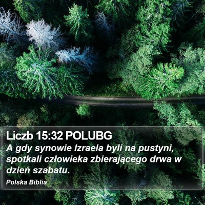 Liczb 15:32 POLUBG Bible Verse Image