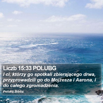 Liczb 15:33 POLUBG Bible Verse Image