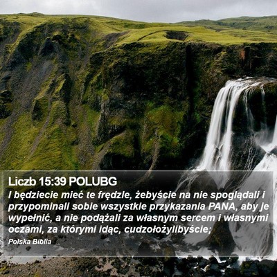 Liczb 15:39 POLUBG Bible Verse Image