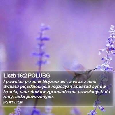 Liczb 16:2 POLUBG Bible Verse Image