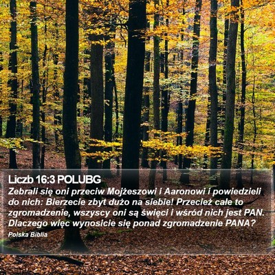 Liczb 16:3 POLUBG Bible Verse Image