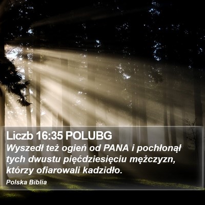 Liczb 16:35 POLUBG Bible Verse Image
