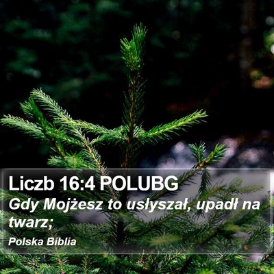Liczb 16:4 POLUBG Bible Verse Image