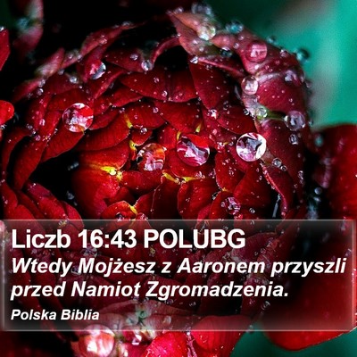 Liczb 16:43 POLUBG Bible Verse Image