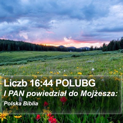 Liczb 16:44 POLUBG Bible Verse Image