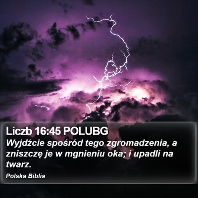 Liczb 16:45 POLUBG Bible Verse Image