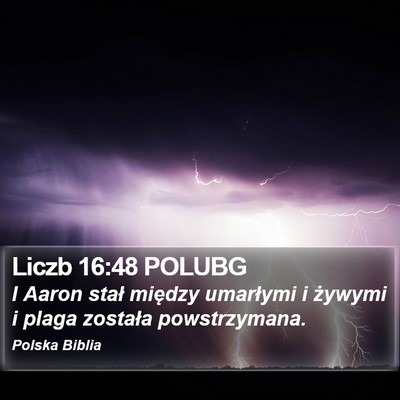 Liczb 16:48 POLUBG Bible Verse Image