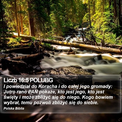 Liczb 16:5 POLUBG Bible Verse Image